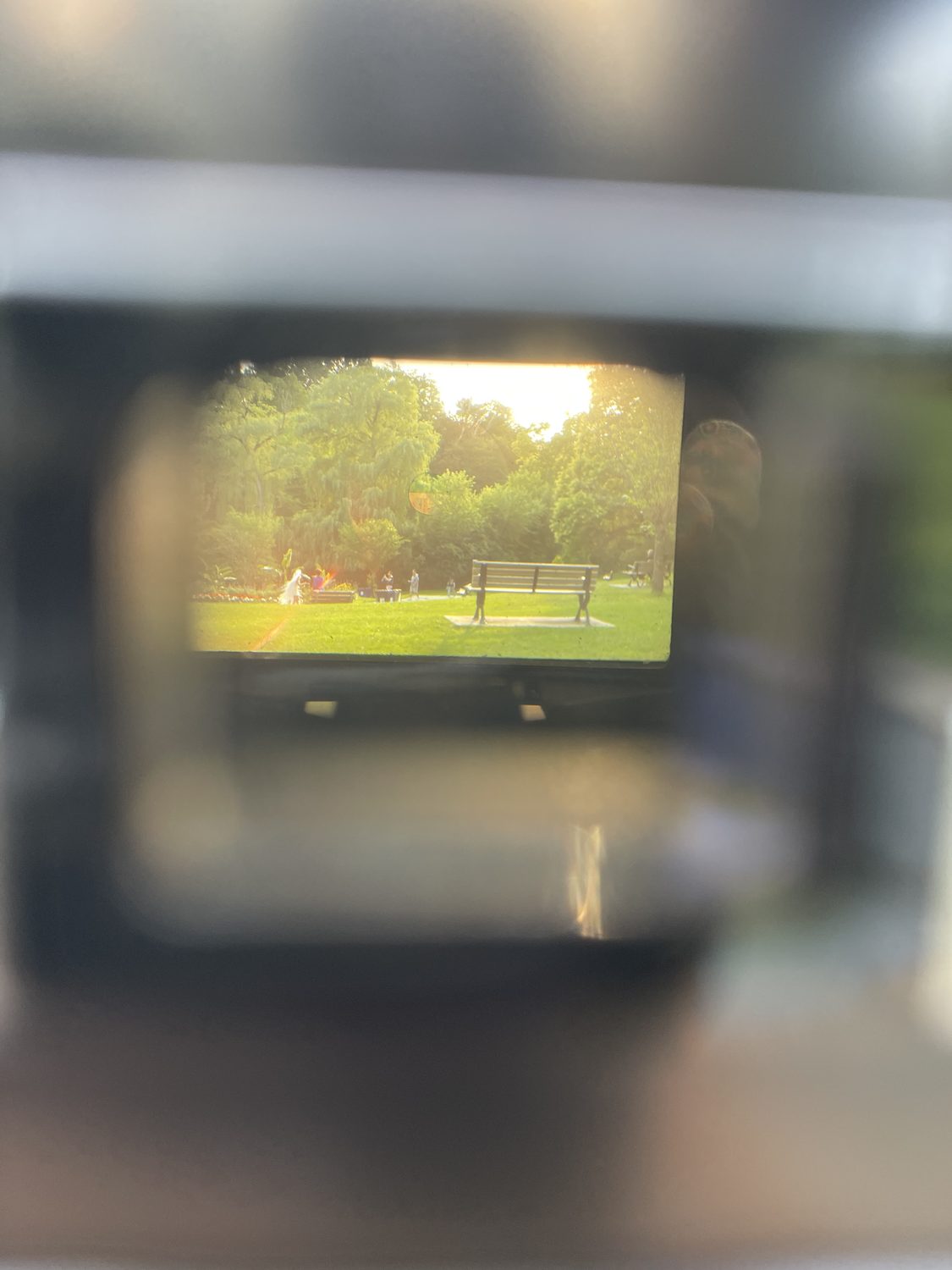 What the finder sees