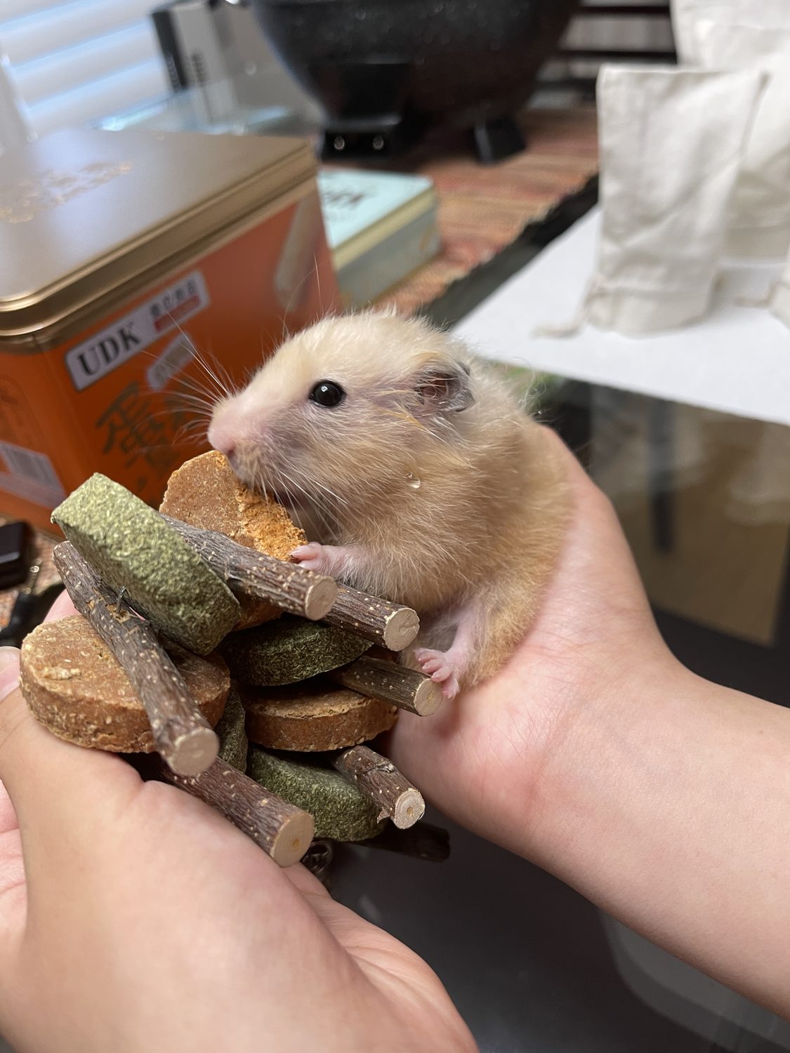 Snack negotiations