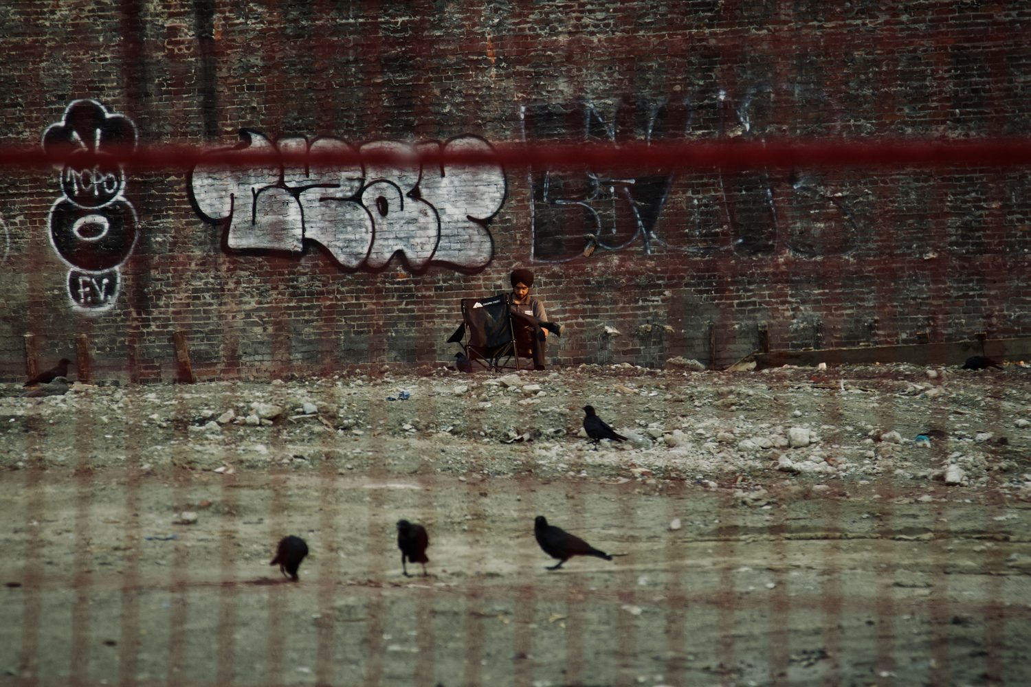 The wall and its crows